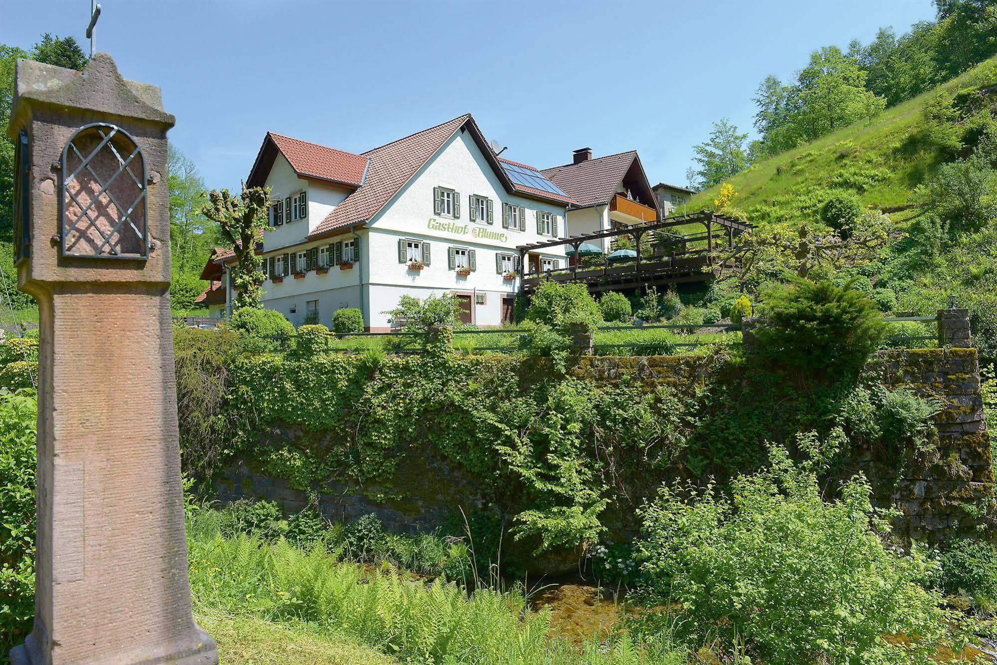 Hotel - Gasthof Blume Oppenau Ngoại thất bức ảnh